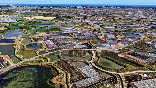 Aerial view of salt marshes with geometric pools and dikes in the coastal landscape of Capbreton, Nouvelle-Aquitaine, France.