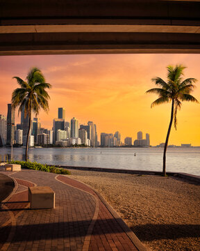 Brickell Skyline Framed by Palm Trees at Golden Sunset in Miami