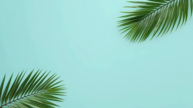 Tropical palm leaf nature background with soft mint blue border and calm summer style