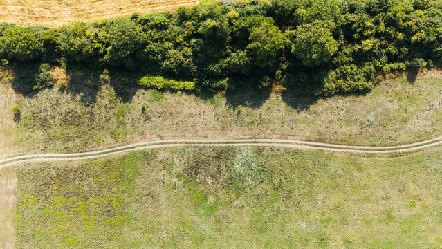 Aerial view of a dirt track winding through a grassy field bordered by a dense line of trees in Srem District, Vojvodina, Serbia.