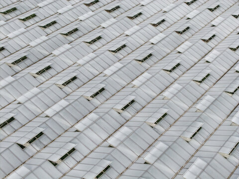 Aerial view of a large greenhouse roof with multiple open ventilation panels in Krakow, Lesser Poland Voivode, Poland.