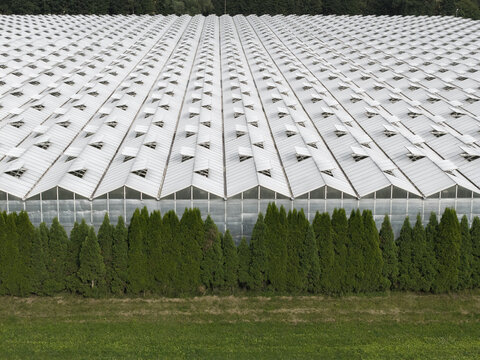 Aerial view of a large industrial greenhouse with rows of glass roof vents, bordered by a line of green coniferous trees and a grassy field in Krakow, Lesser Poland Voivode, Poland.