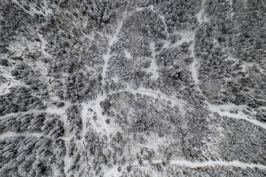 Aerial view of the snow-covered Dienersberger Weg winding through a dense forest landscape in Oberstdorf, Bayern, Germany.