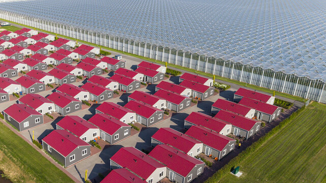 Aerial view of housing for migrant and seasonal workers with uniform red-roofed houses situated next to a large greenhouse complex in Luttelgeest, Flevoland, Netherlands.