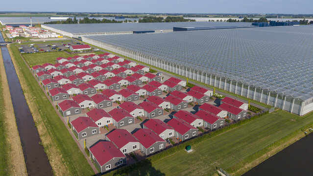 Aerial view of modern modular housing for migrant and seasonal workers with red roofs situated next to a large industrial greenhouse complex in Luttelgeest, Flevoland, Netherlands.
