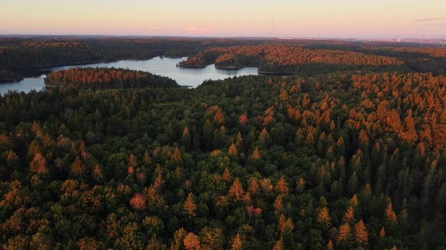 Aerial view of Stora Kasjon lake surrounded by dense coniferous forest during golden hour in Ojersjo, Vastra Gotaland Count, Sweden.
