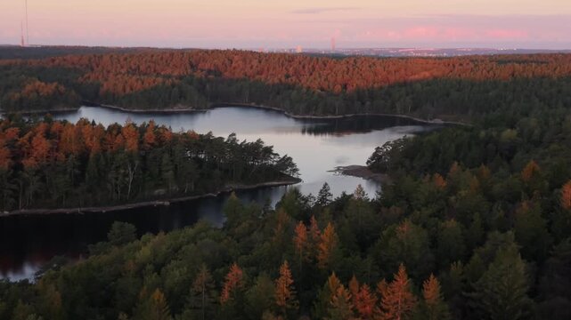 Aerial view of Stora Kasjon lake surrounded by dense coniferous forests during golden hour in Ojersjo, Vastra Gotaland County, Sweden.
