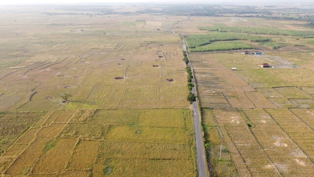 Aerial view of agricultural fields and a rural road running through the landscape in Kertajati, West Java, Indonesia.