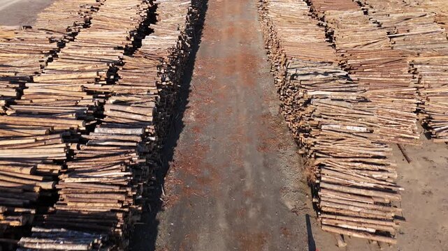 Aerial view of large stacks of timber logs arranged in a storage yard in Varberg Municipality, Halland County, Sweden.