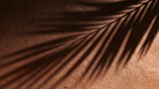 Palm Leaf Shadow on Textured Warm Brown Wall