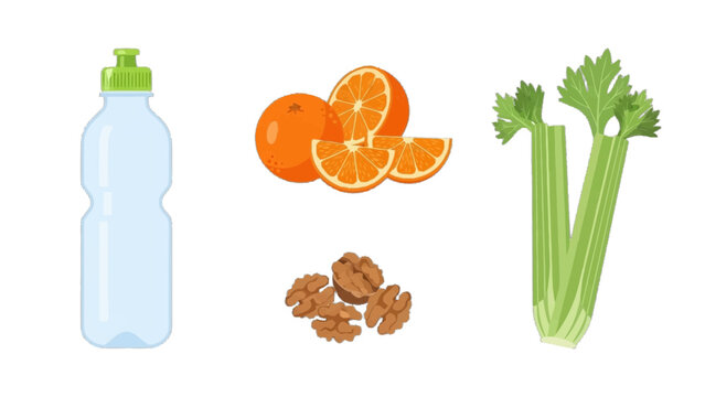 Healthy Ingredients: Water Bottle, Oranges, Walnuts, and Celery Stalks Isolated