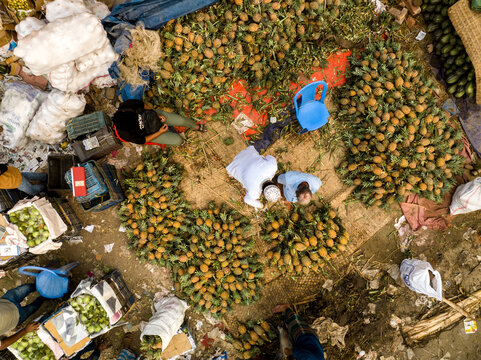Dhaka, Bangladesh - 06 March 2026: Aerial view of Hazaribag pineapple market with workers sorting and arranging large piles of fresh pineapples for sale in a busy outdoor market area.