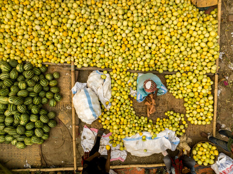 Dhaka, Bangladesh - 06 March 2026: Aerial view of Hazaribag market with vendors sorting large piles of yellow melons and green watermelons on woven mats.