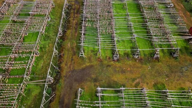Aerial view of traditional fish drying racks set in a grassy field in Hafnarfjordur, Hafnarfjardarkaupstadur, Iceland.