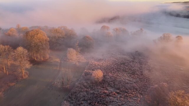 Aerial view of Naas Slott surrounded by morning mist and trees in the countryside of Floda, Vastra Gotalands lan, Sweden.