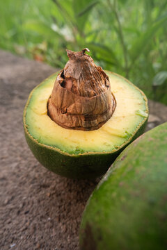 Freshly sliced avocado half with a large seed resting on a stone surface against a lush green background
