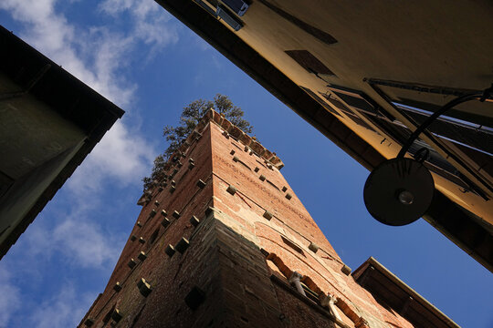 View of the historic Guinigi Tower with its iconic trees on top, framed by narrow medieval buildings under a blue sky in Lucca, Tuscany, Italy.