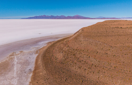Aerial view of the vast white Uyuni Salt Flat, featuring a rugged cactus-covered hillside in the foreground and distant mountains under a clear blue sky in Uyuni, Potosi Department, Bolivia.