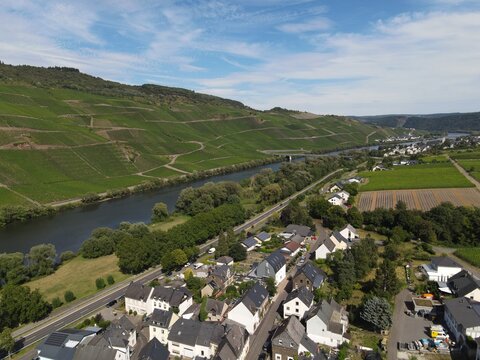 Aerial view of the town nestled along the Moselle river with lush green terraced vineyards on the hillsides under a clear blue sky in Trier, Rhineland-Palatinate, Germany.