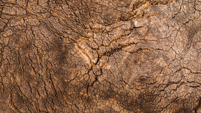 Aerial view of cracked, dry earth showing intricate patterns of parched soil in Serbia.