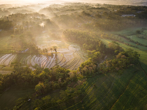 Aerial view of Kemetul rice terraces surrounded by lush tropical trees and misty hills during golden hour in Susukan, Central Java, Indonesia.