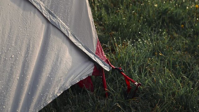 Dew-Kissed Tent in the Wild: A close-up shot of a tent flap beaded with morning dew, set against a backdrop of lush, green grass and delicate wildflowers.