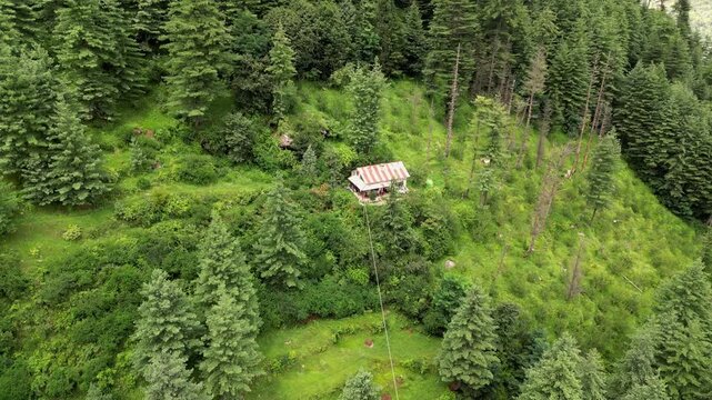 Aerial view of a secluded house nestled in the lush green forests of Old Manali, surrounded by dense pine trees in Manali, Himachal Pradesh, India.
