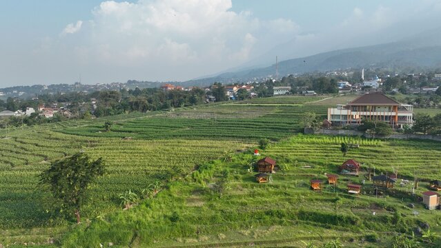 Aerial view of terraced agricultural fields and small wooden gazebos nestled in the lush landscape of Trawas, East Java, Indonesia.