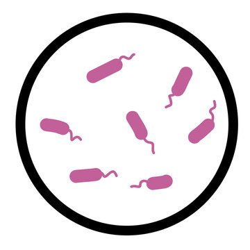 Microscopic Flagellated Bacilli Illustration