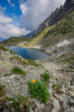 View of Zamrznute pleso surrounded by rocky mountain slopes and alpine vegetation with a yellow flower in the foreground in Tatranska Javorina, Presovsky kraj, Slovakia.