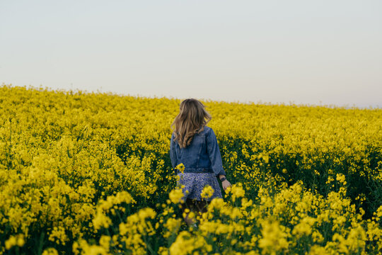 Milford, England, United Kingdom - 28 April 2023: View of a woman walking through a vibrant field of yellow rapeseed flowers under a soft sky.