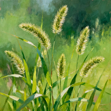 Impressionist Oil Painting Green Foxtail Grass In Summer Light