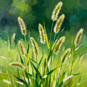 Impressionist Oil Painting Green Foxtail Grass In Summer Light