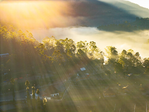 Aerial view of the Dieng plateau landscape at sunrise with golden sun rays piercing through mist over lush trees and traditional buildings in Kejajar, Central Java, Indonesia.