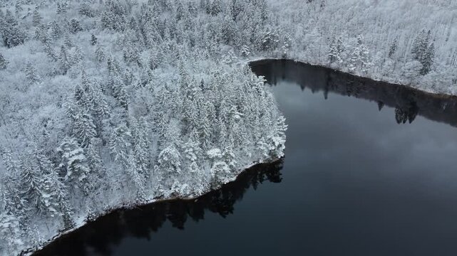 Aerial view of Stora Kasjon lake surrounded by snow-covered pine forest in winter in Ojersjo, Vastra Gotalands lan, Sweden.