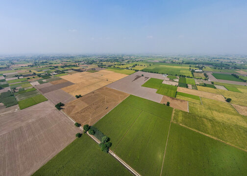 Aerial view of agricultural land with a patchwork of green and golden fields under a clear blue sky in Punjab, Pakistan.