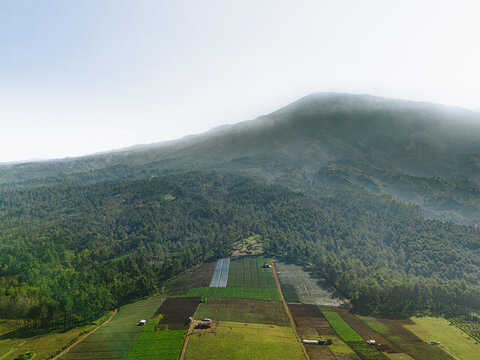 Aerial view of Bukit Jengkoang with lush agricultural fields and terraced farmland nestled against misty mountain slopes in Bumiaji, East Java, Indonesia.