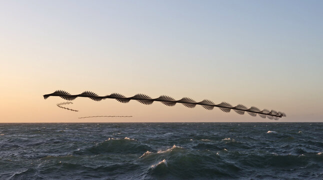 View of a chronophoto showing the flight path of birds over the choppy ocean waves at sunset in Cape Town, Western Cape, South Africa.