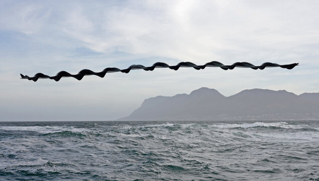 View of a chronophoto of birds in flight over the ocean with mountains in the background in Cape Town, Western Cape, South Africa.
