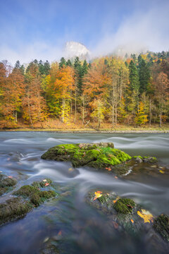View of Dunajec river in Pieniny National Park with mossy rocks in the foreground and vibrant autumn forest under a misty mountain peak in Cerveny Klastor, Presovsky kraj, Slovakia.