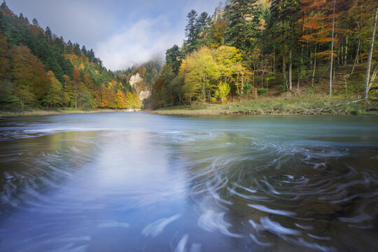View of Dunajec river in Pieniny National Park with autumn foliage on forested slopes and swirling water patterns in Cerveny Klastor, Presovsky kraj, Slovakia.