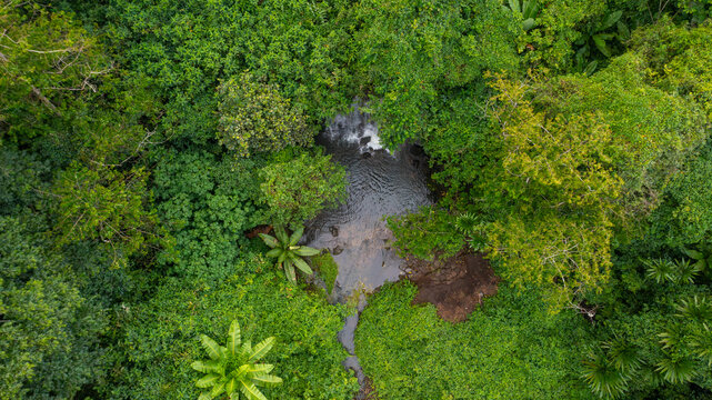 Aerial view of the lush tropical forest surrounding the Amabere Caves waterfall and pool in Fort Portal, Western Region, Uganda.