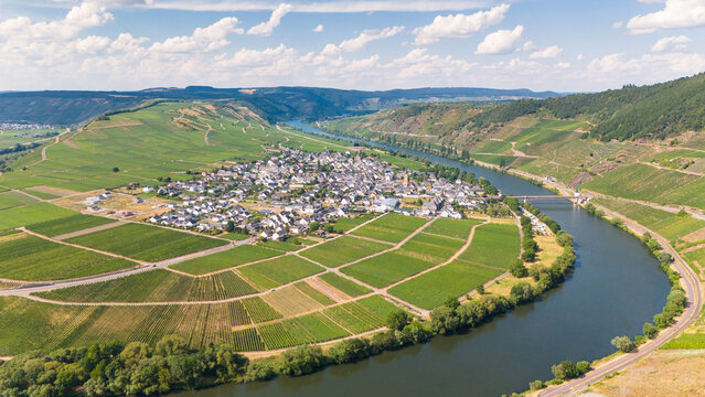Aerial view of Trittenheim village in a dramatic loop of the Moselle river, surrounded by lush green terraced vineyards under a bright blue sky in Trittenheim, Rhineland-Palatinate, Germany.