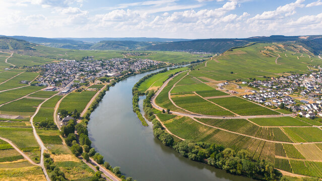 Aerial view of the Moselle river loop winding through the vineyards of Leiwen and Trittenheim in Leiwen, Rhineland-Palatinate, Germany.