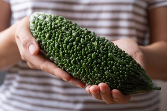 Fresh bitter gourd or bitter melon holding by woman hand, Asian vegetables and herbal medicine