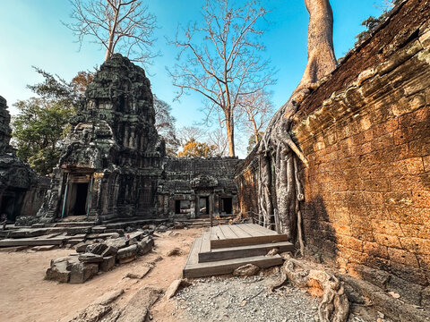 Krong Siem Reap, Cambodia - 10 February 2026: View of Ta Prohm temple with massive tree roots growing over ancient stone walls under a clear blue sky.