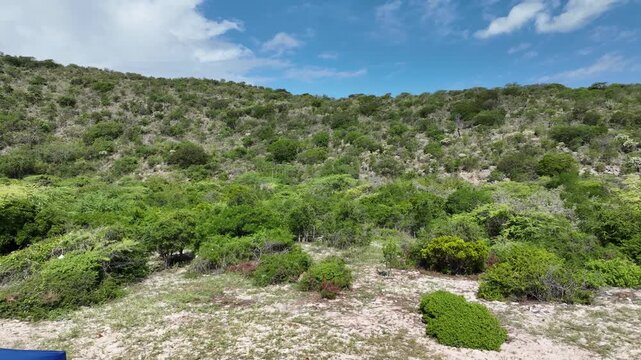 Aerial view of lush green hills and dense vegetation covering the landscape near Playa Blanca in Azua, Azua Province, Dominican Republic.