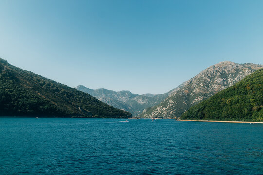 View of the Bay of Kotor with calm blue waters surrounded by lush green mountains under a clear sky in Montenegro.