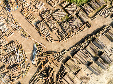 Aerial view of a timber yard with organized stacks of logs and workers on the dirt ground in Tangail, Dhaka Division, Bangladesh.