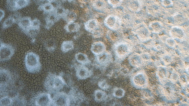 Aerial view of cracked dry earth with irregular white salt deposits forming an abstract textured pattern in France.